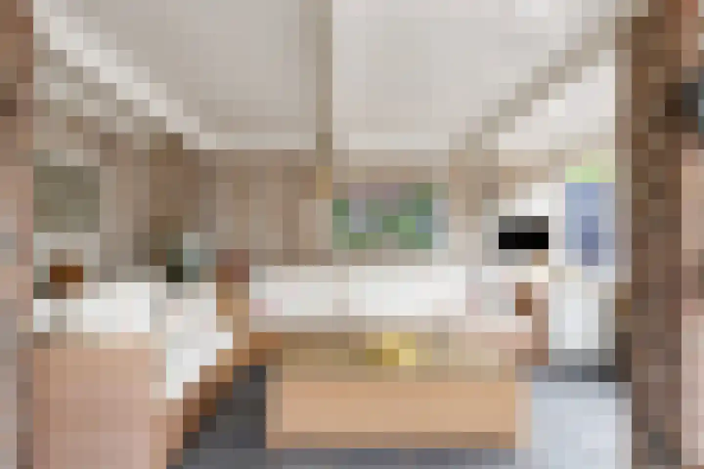 Frederik van Eedenstraat 34 Vleuten thumbnail 11