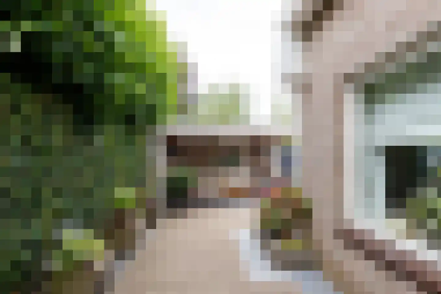 Frederik van Eedenstraat 34 Vleuten thumbnail 13