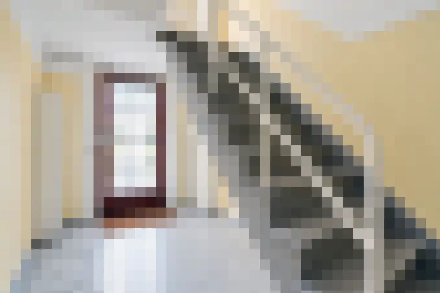 Frederik van Eedenstraat 38 Voorburg thumbnail 11