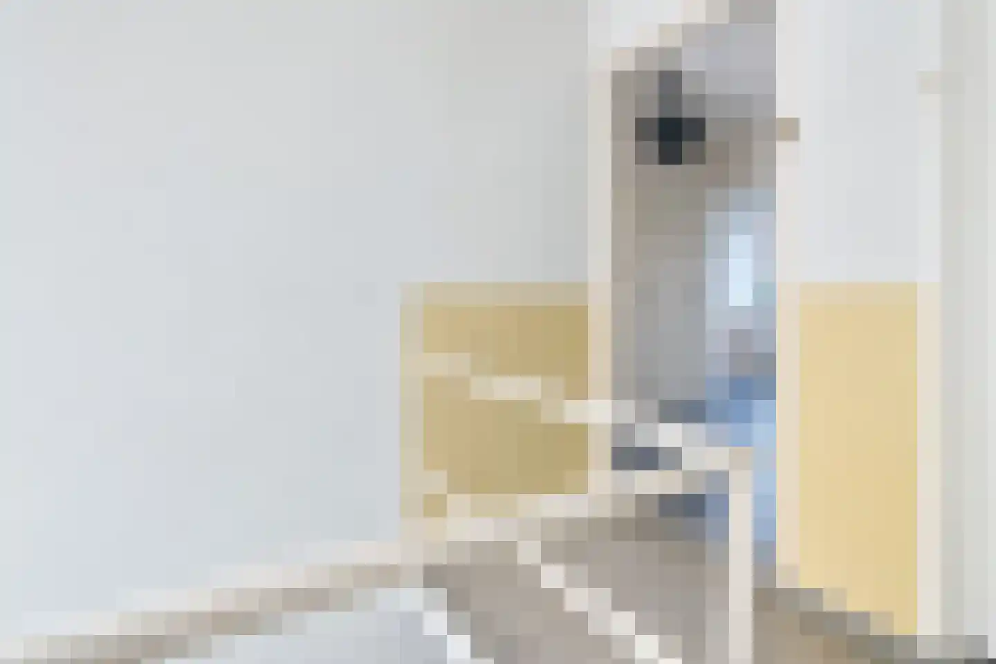 Frederik van Eedenstraat 38 Voorburg thumbnail 13