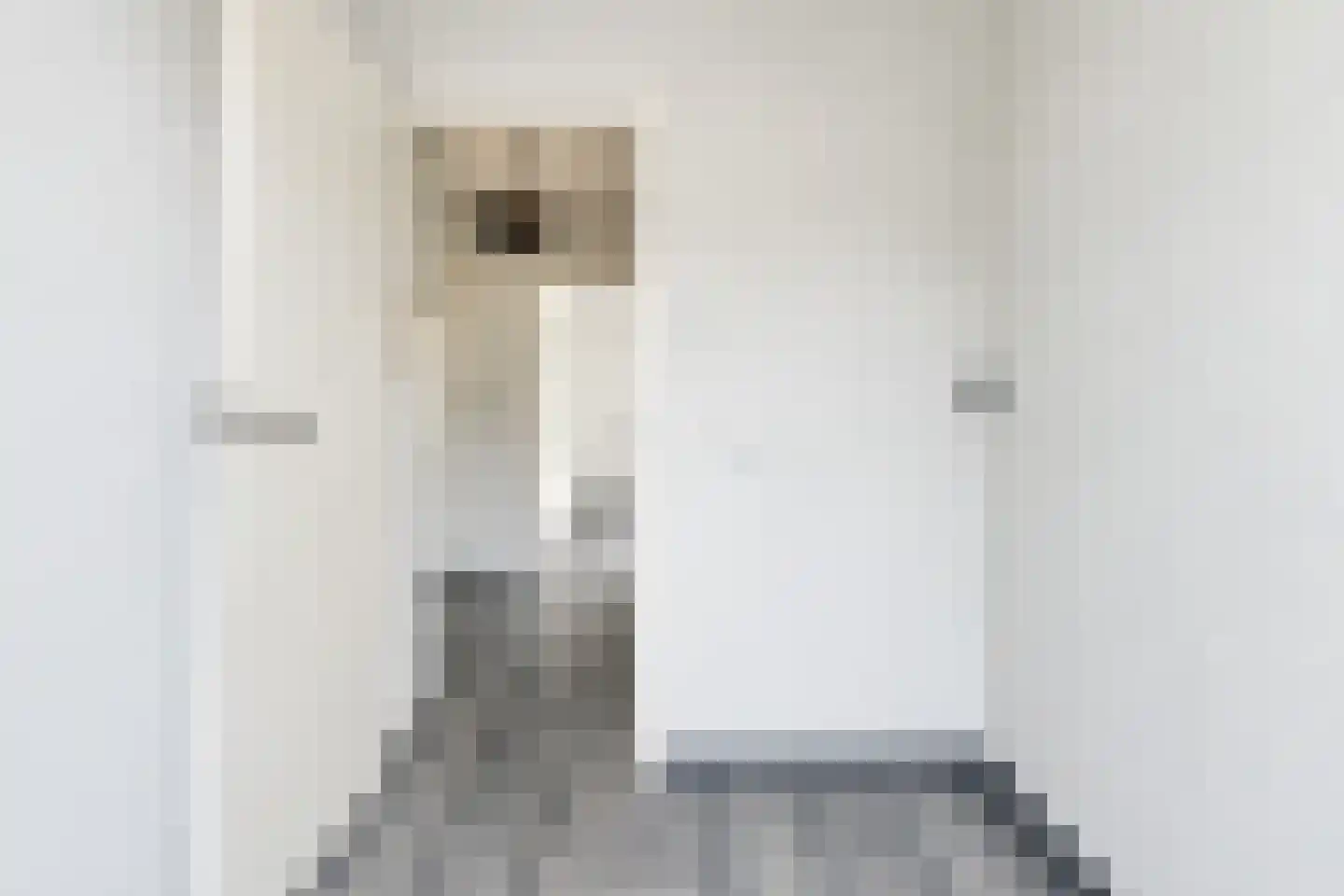 Frederik van Eedenstraat 38 Voorburg thumbnail 19