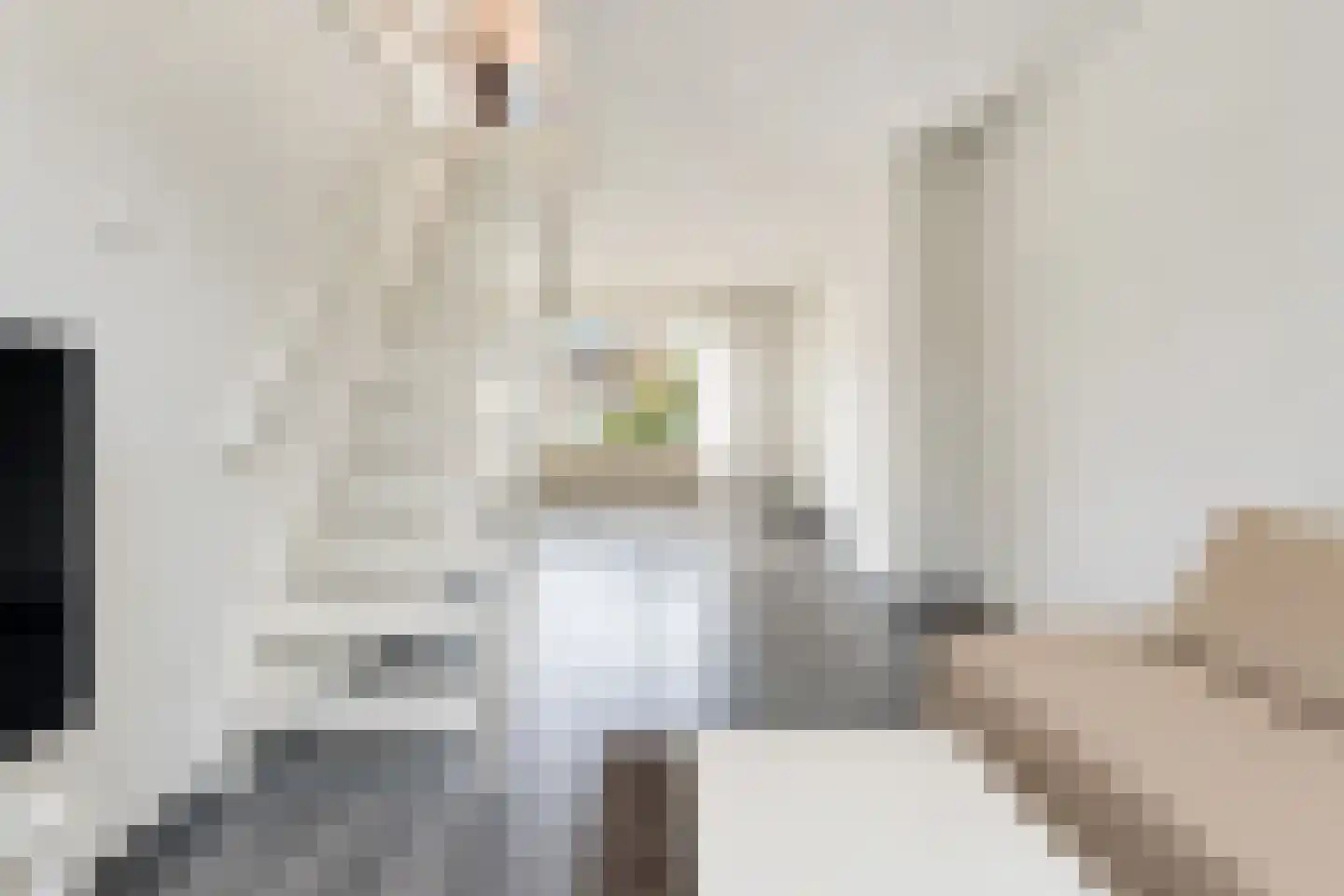 Frederik van Eedenstraat 38 Voorburg thumbnail 34