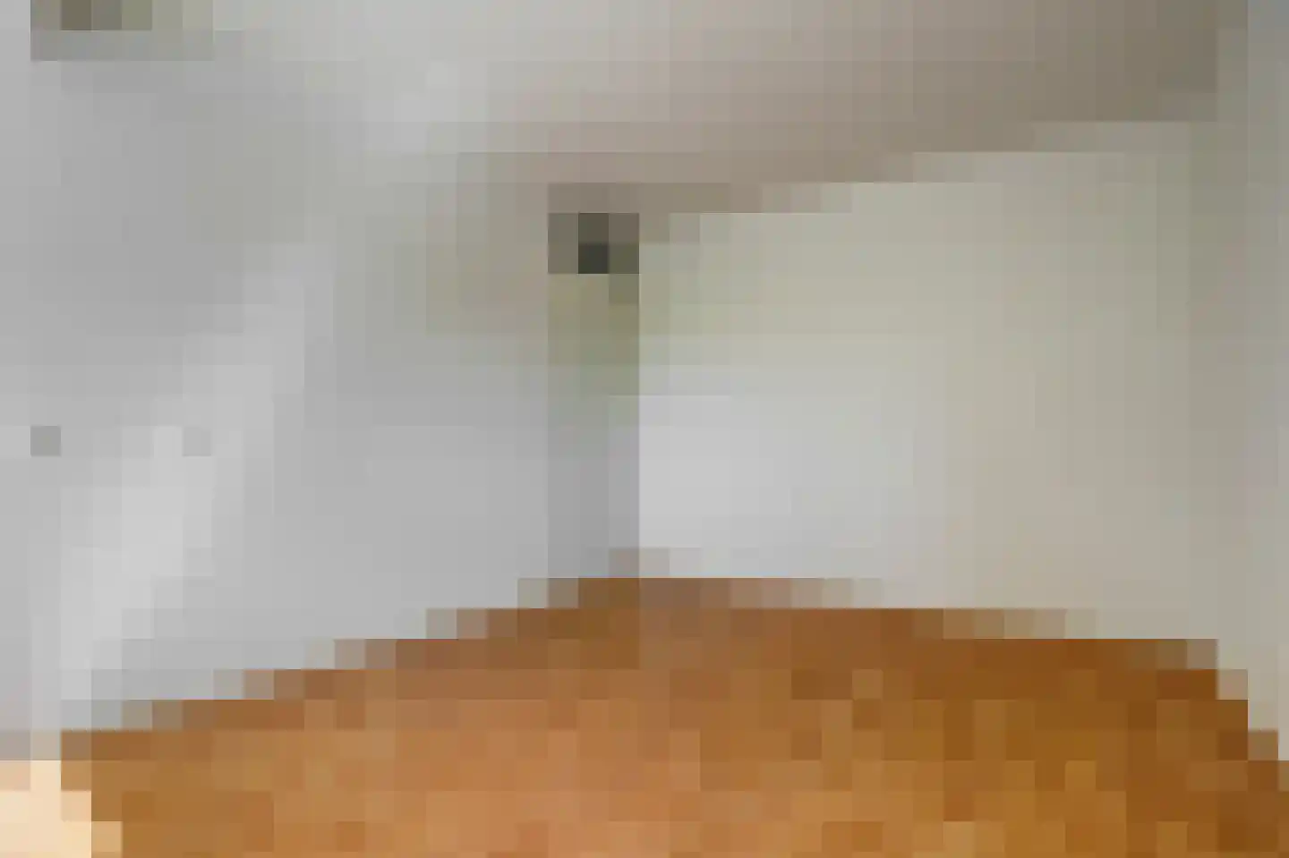 Frederik van Eedenstraat 4 Papendrecht thumbnail 17