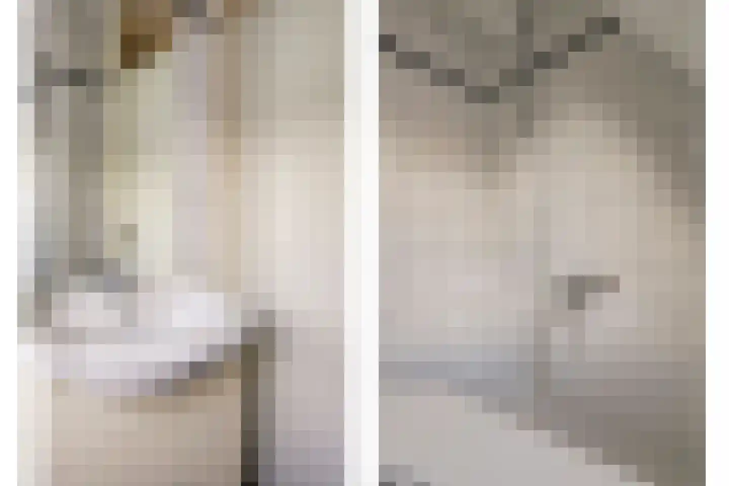 Frederik van Eedenstraat 4 Papendrecht thumbnail 21
