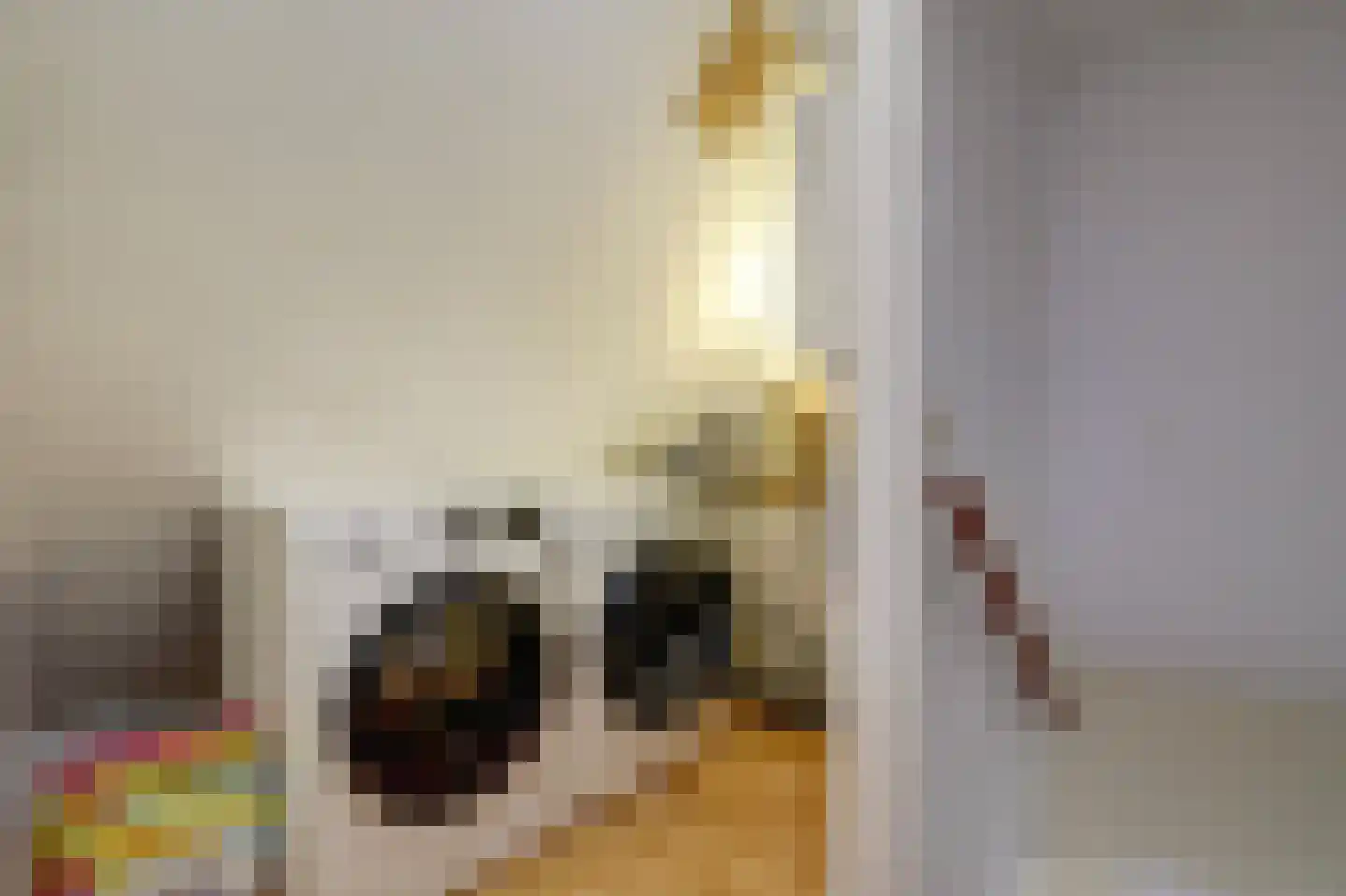 Frederik van Eedenstraat 4 Papendrecht thumbnail 27