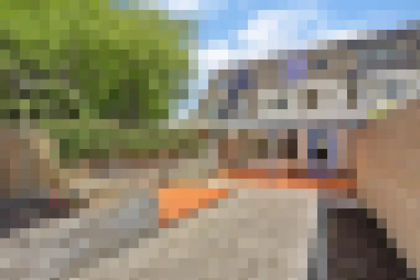 Frederik van Eedenstraat 4 Papendrecht thumbnail 31