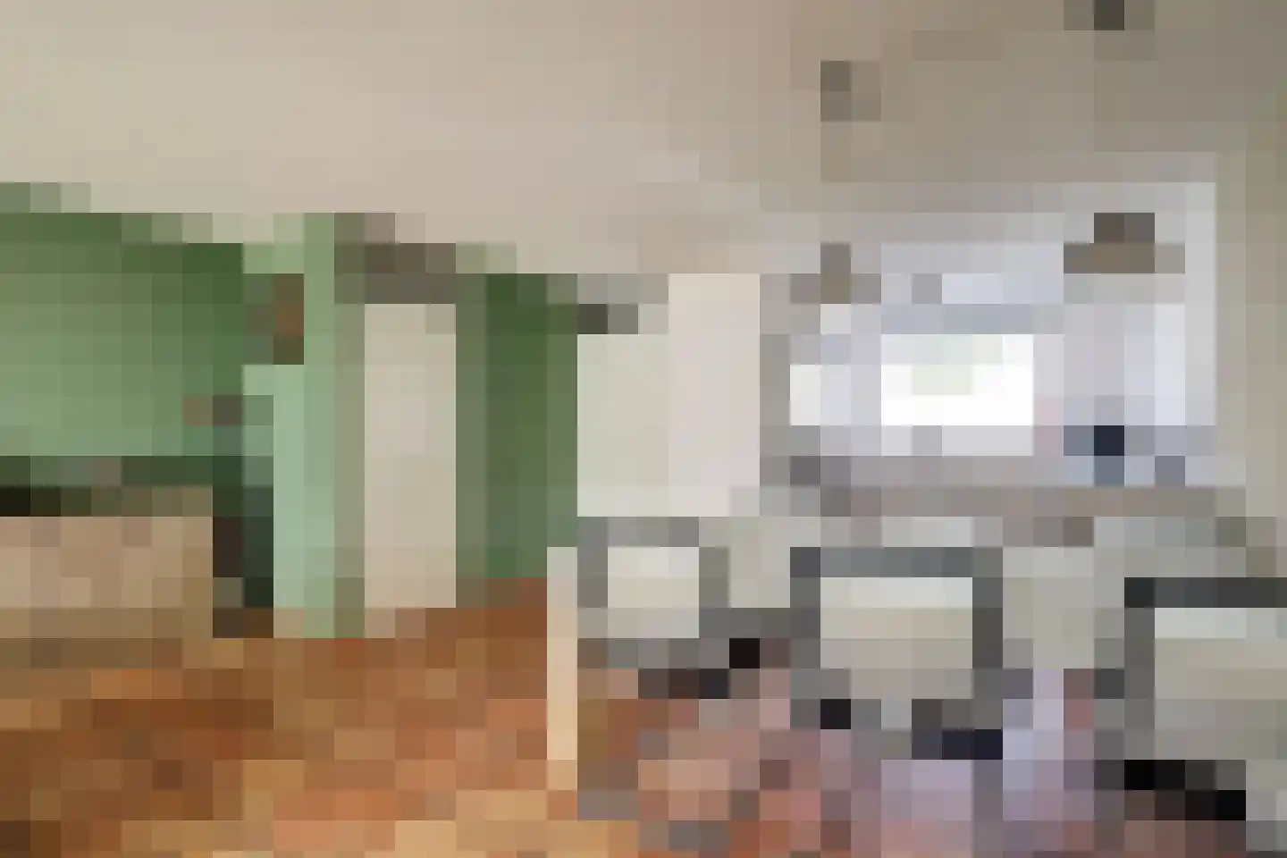 Frederik van Eedenstraat 4 Papendrecht thumbnail 9
