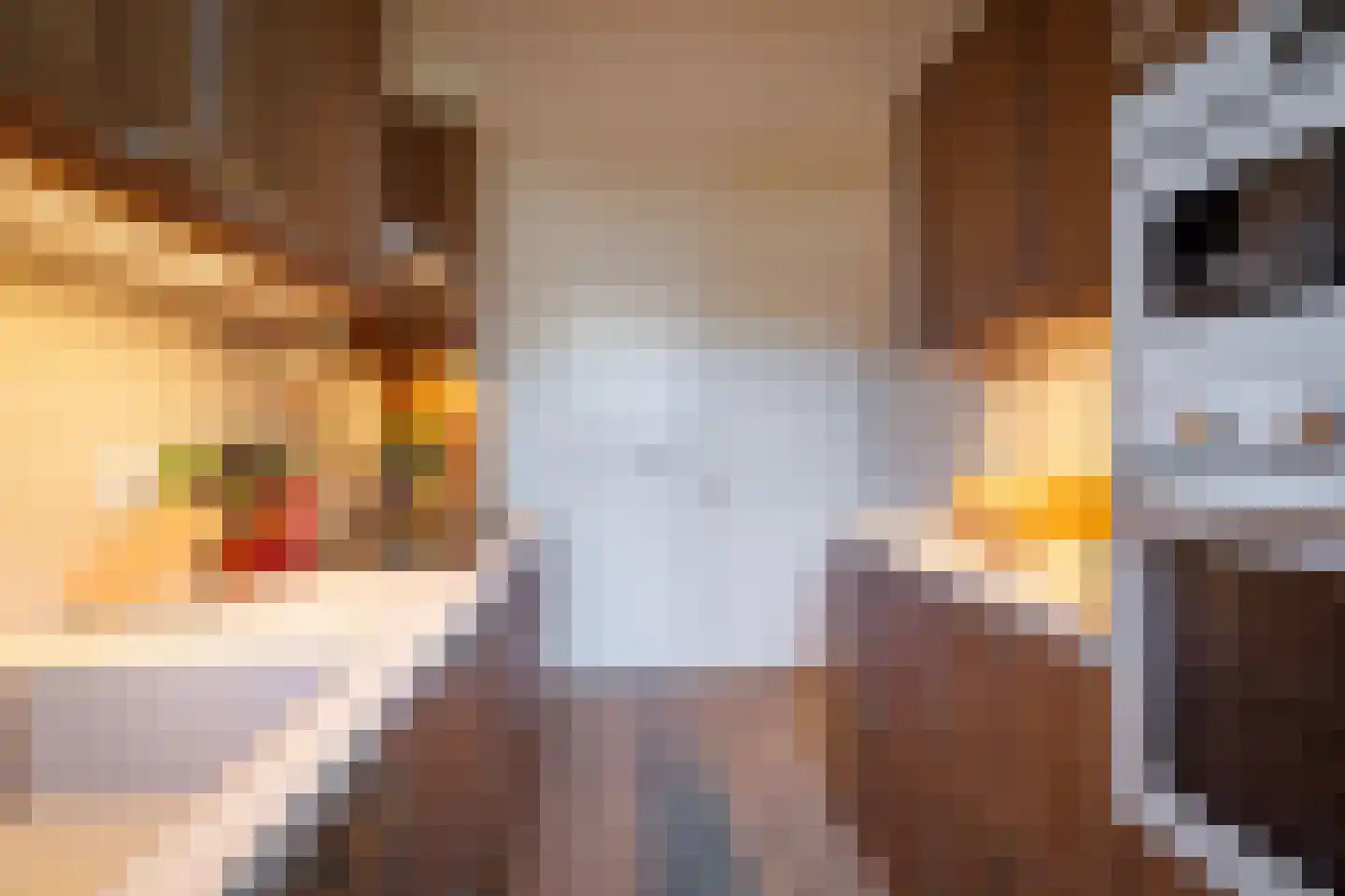 Frederik van Eedenstraat 48 Oldenzaal thumbnail 20