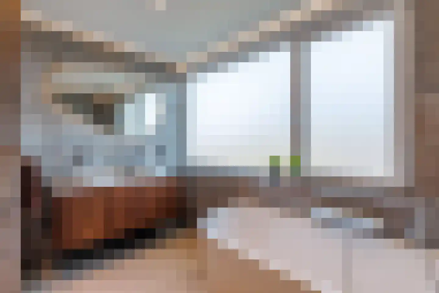 Frederik van Eedenstraat 48 Oldenzaal thumbnail 23