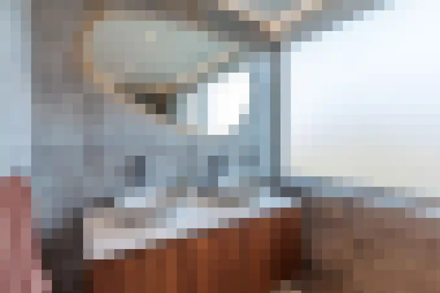 Frederik van Eedenstraat 48 Oldenzaal thumbnail 25