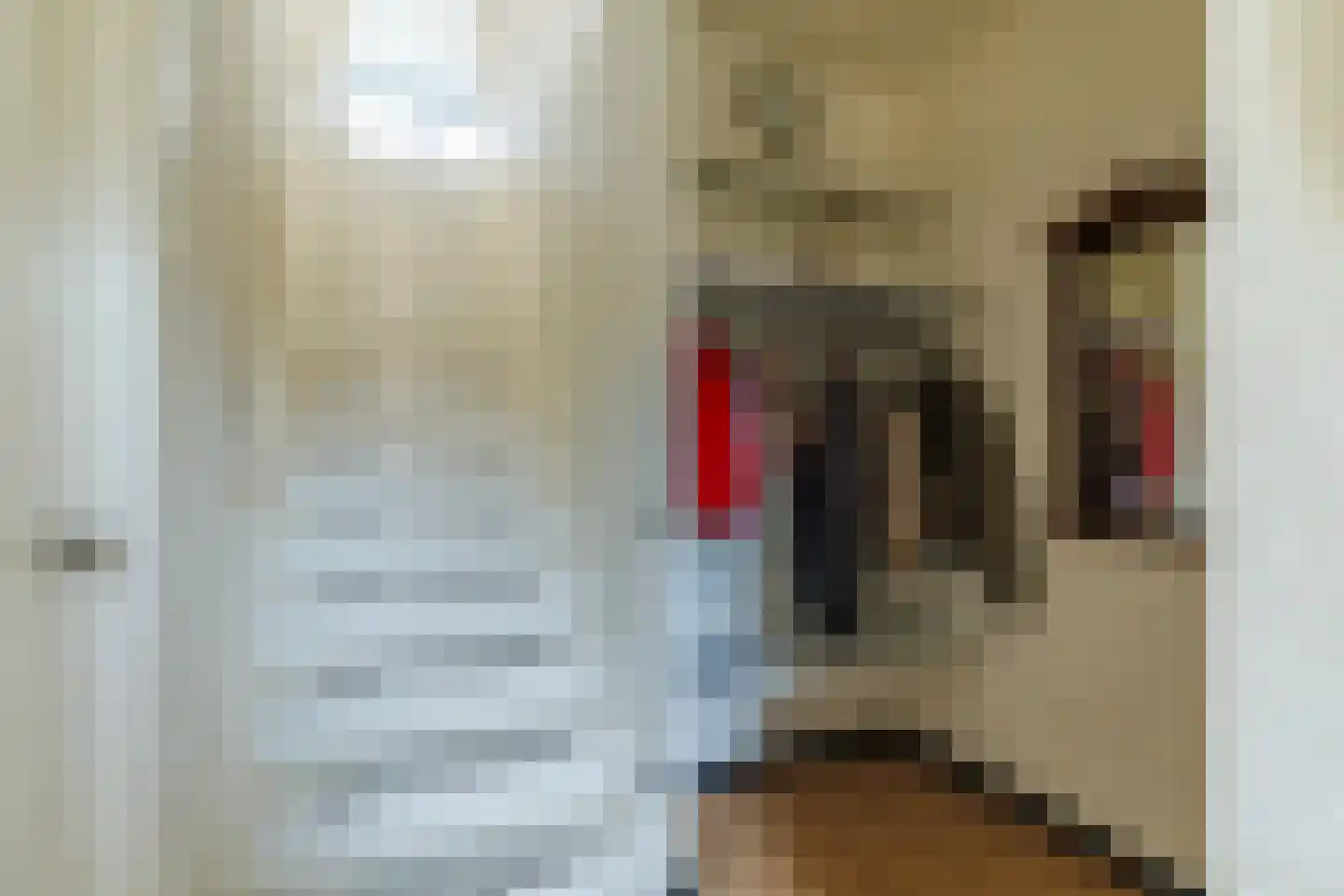 Frederik van Eedenstraat 48 Oldenzaal thumbnail 8