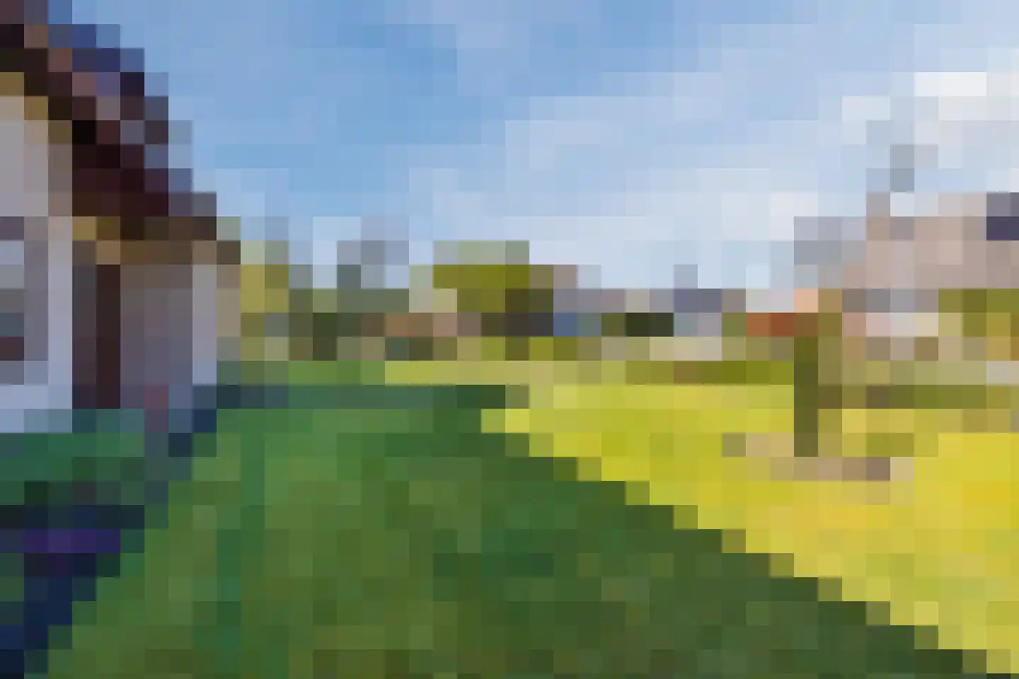 Frederik van Eedenstraat 5 Zegge thumbnail 16