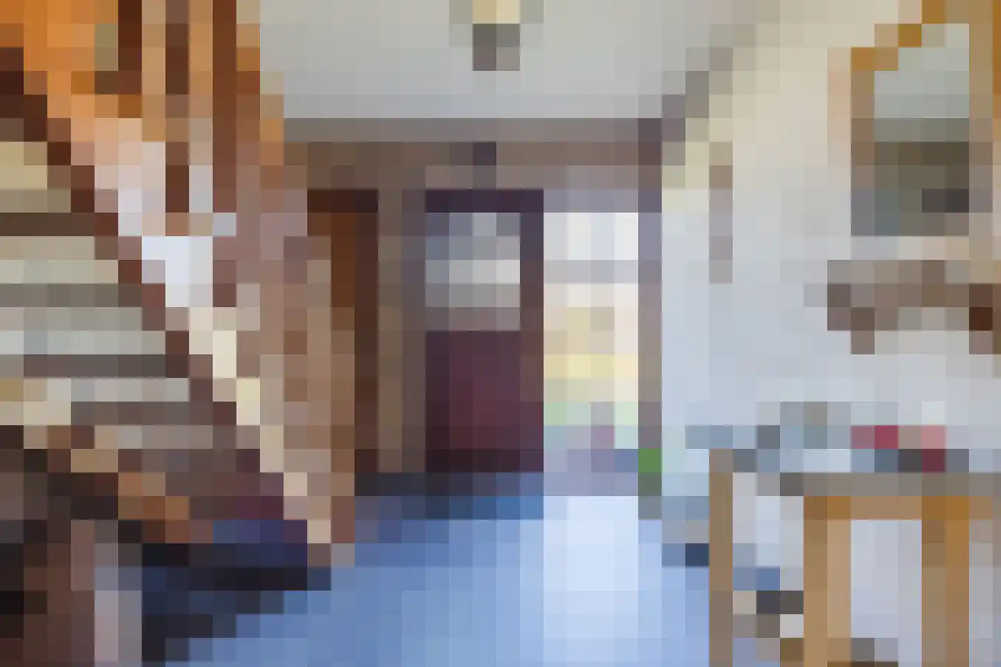 Frederik van Eedenstraat 5 Zegge thumbnail 19