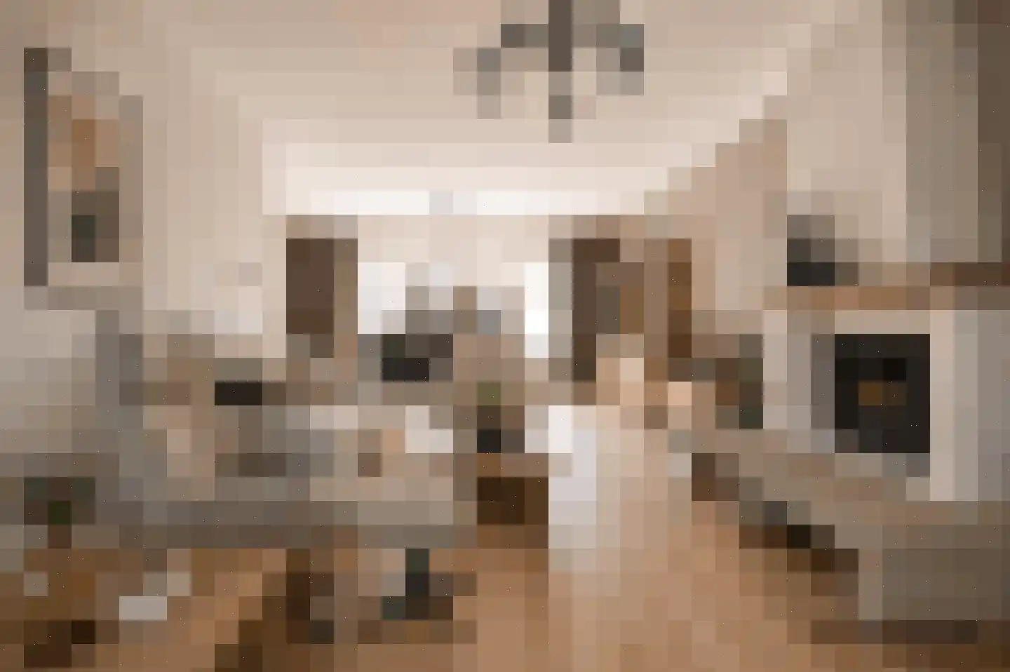 Frederik van Eedenstraat 5 Zegge thumbnail 24
