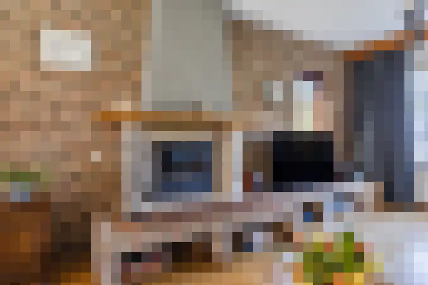 Frederik van Eedenstraat 5 Zegge thumbnail 25