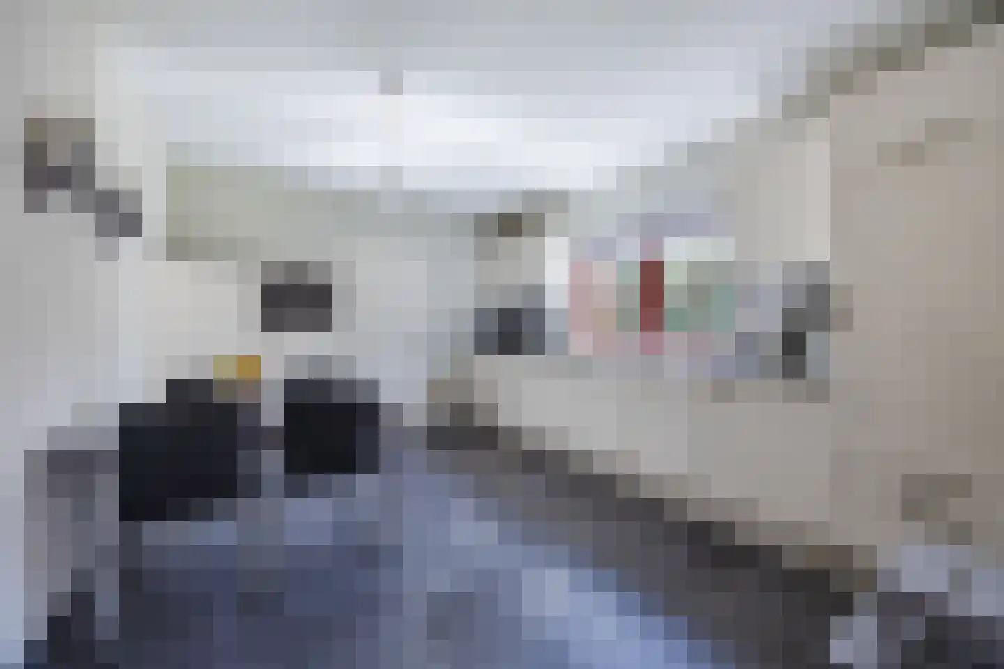 Frederik van Eedenstraat 5 Zegge thumbnail 30