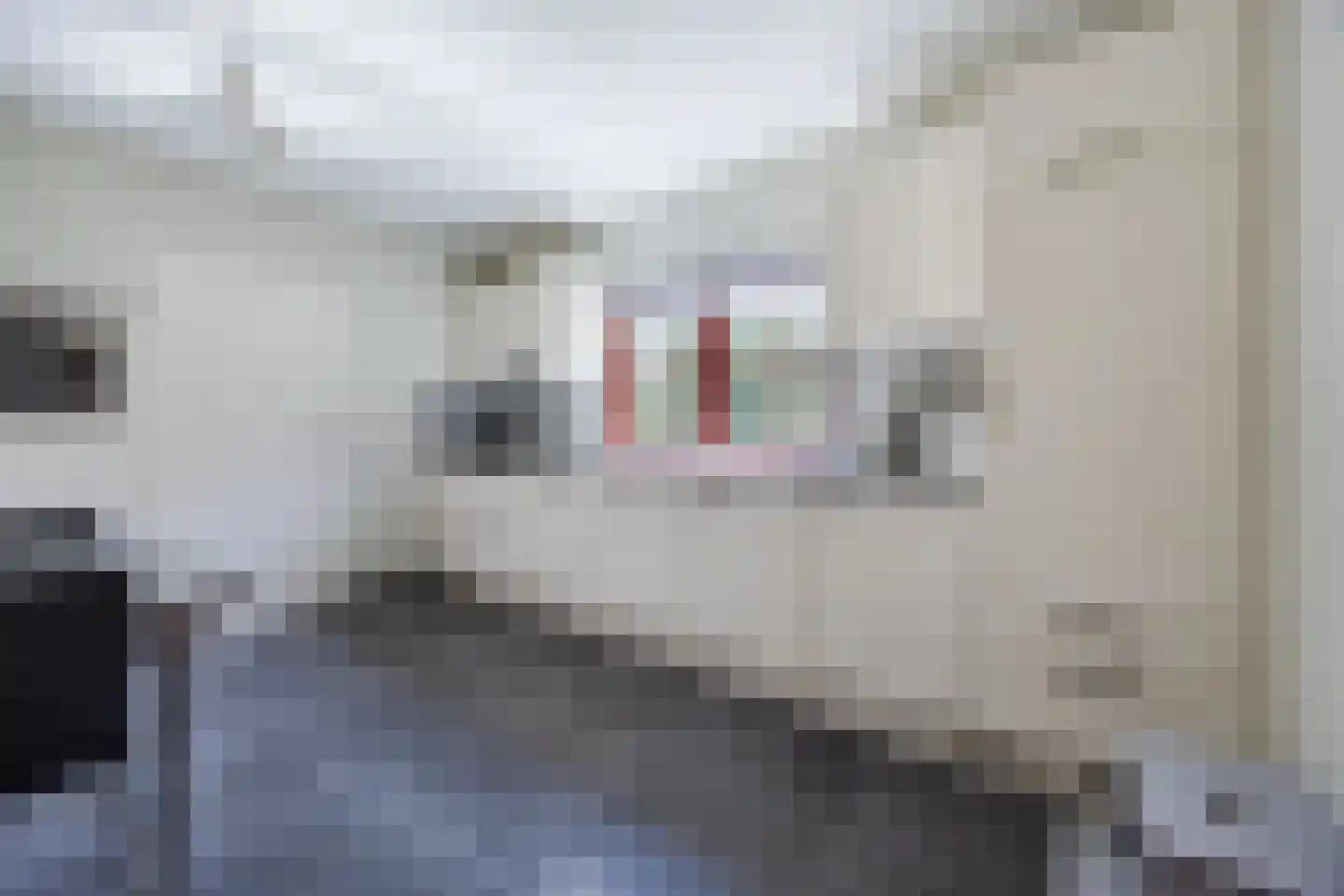Frederik van Eedenstraat 5 Zegge thumbnail 34