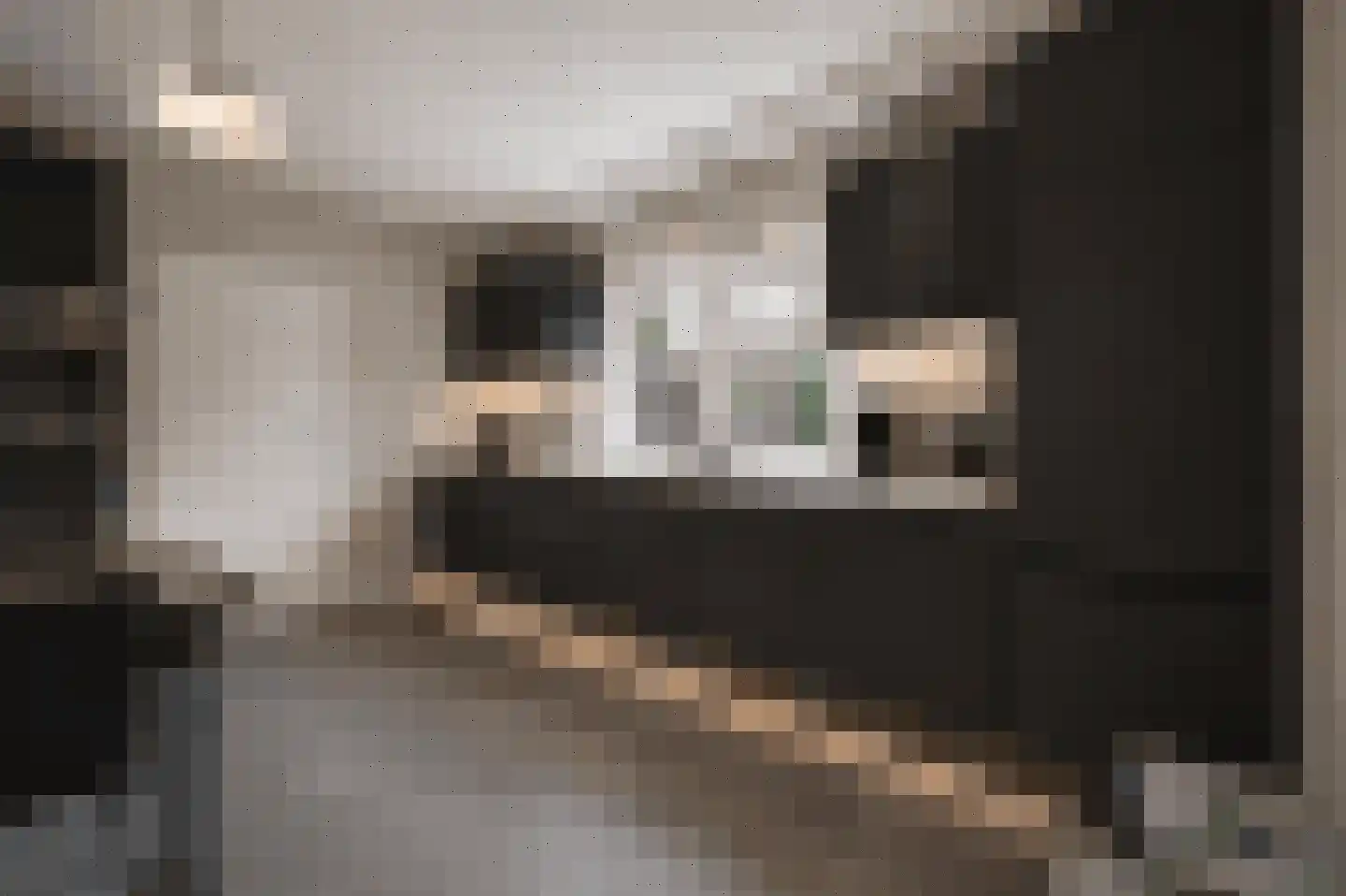 Frederik van Eedenstraat 5 Zegge thumbnail 35