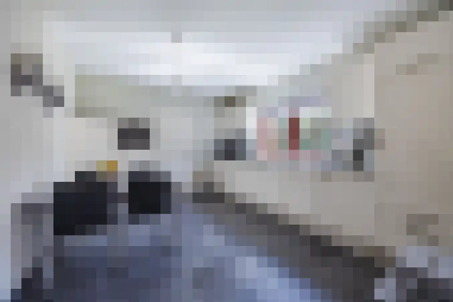Frederik van Eedenstraat 5 Zegge thumbnail 4