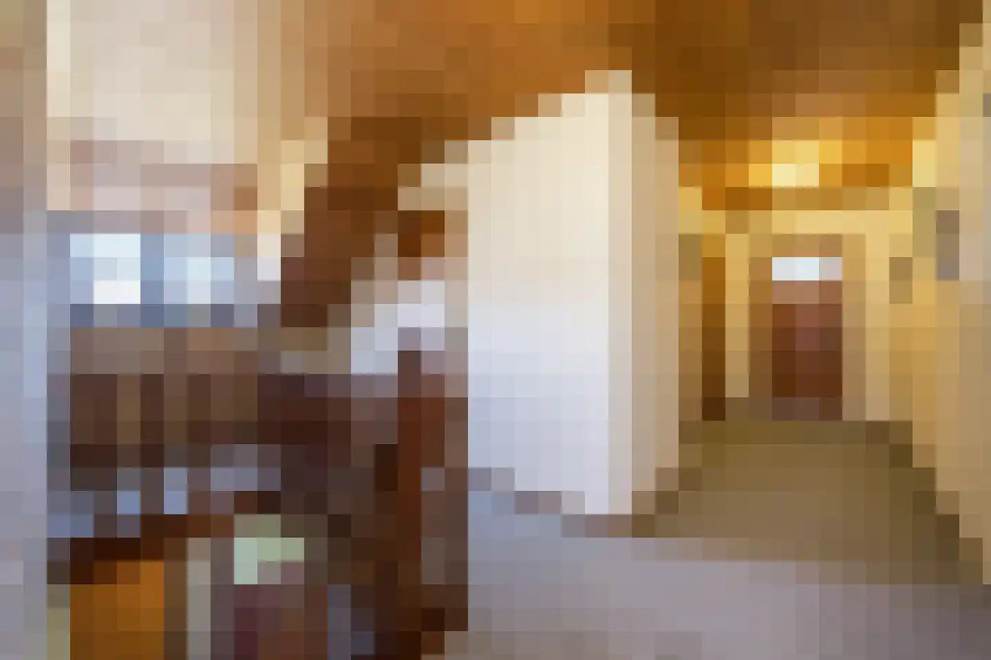Frederik van Eedenstraat 5 Zegge thumbnail 47