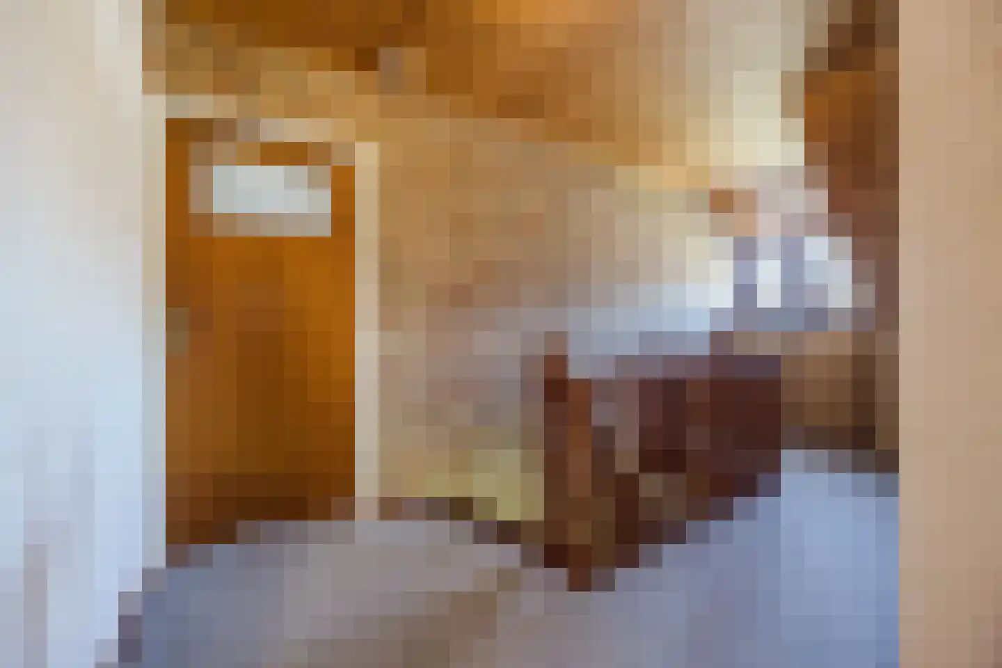 Frederik van Eedenstraat 5 Zegge thumbnail 49