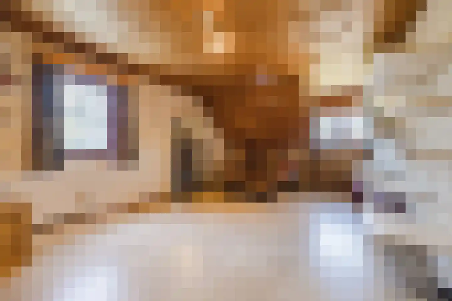 Frederik van Eedenstraat 5 Zegge thumbnail 51