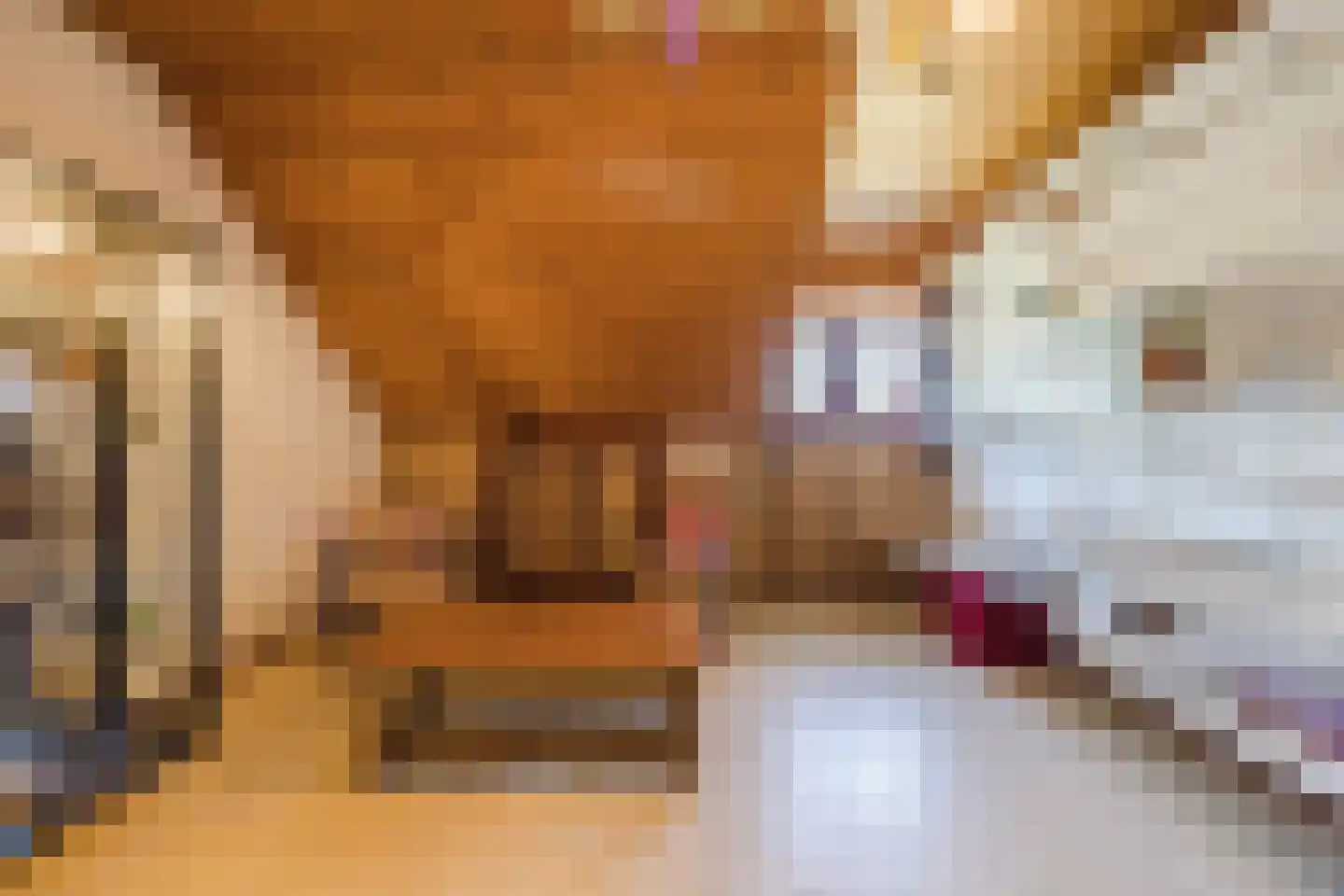 Frederik van Eedenstraat 5 Zegge thumbnail 52