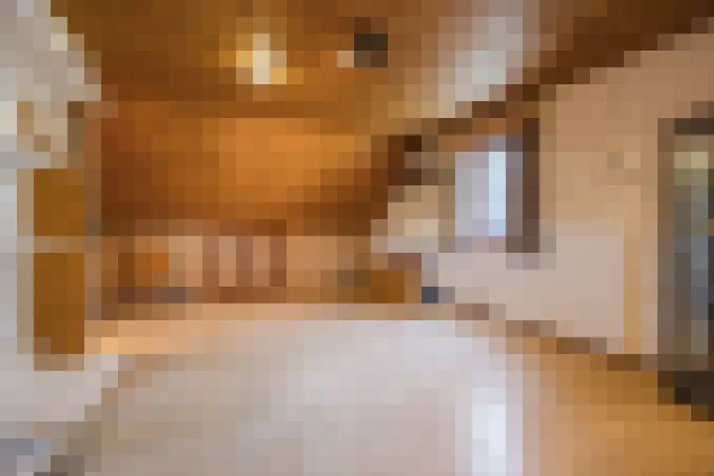 Frederik van Eedenstraat 5 Zegge thumbnail 53