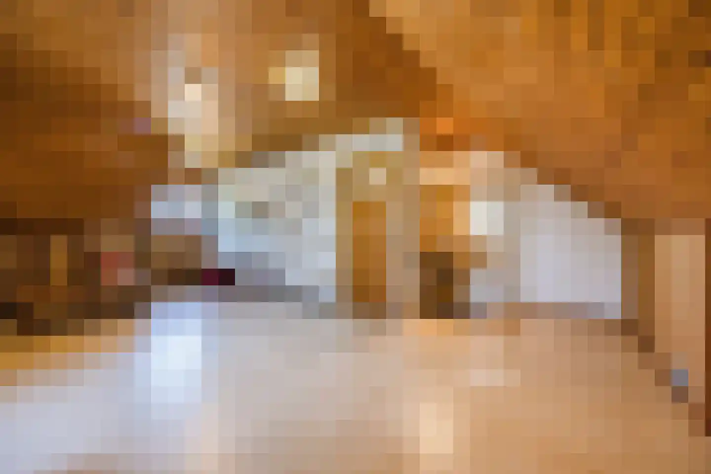 Frederik van Eedenstraat 5 Zegge thumbnail 54
