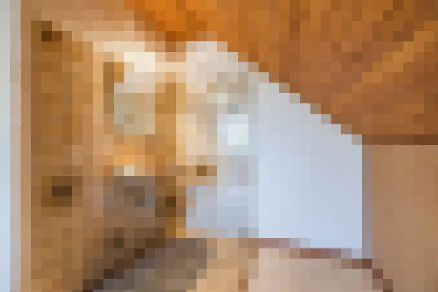 Frederik van Eedenstraat 5 Zegge thumbnail 56