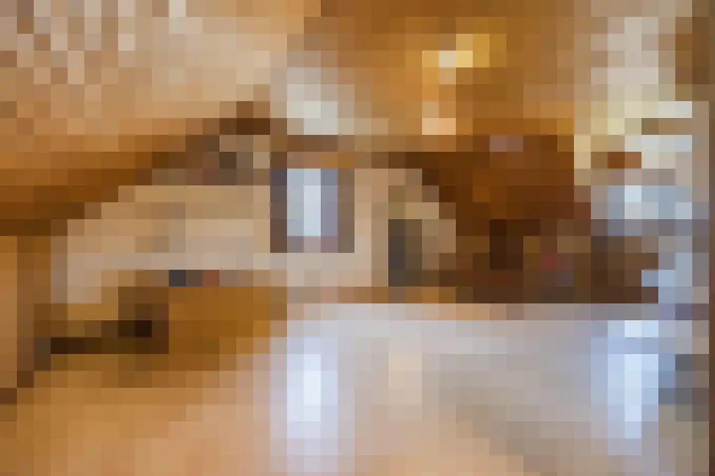 Frederik van Eedenstraat 5 Zegge thumbnail 57