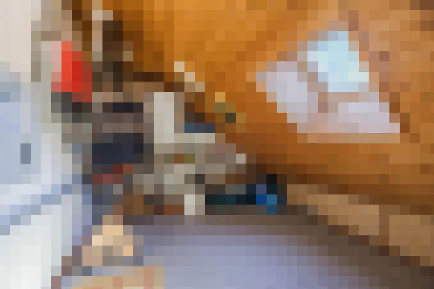 Frederik van Eedenstraat 5 Zegge thumbnail 62