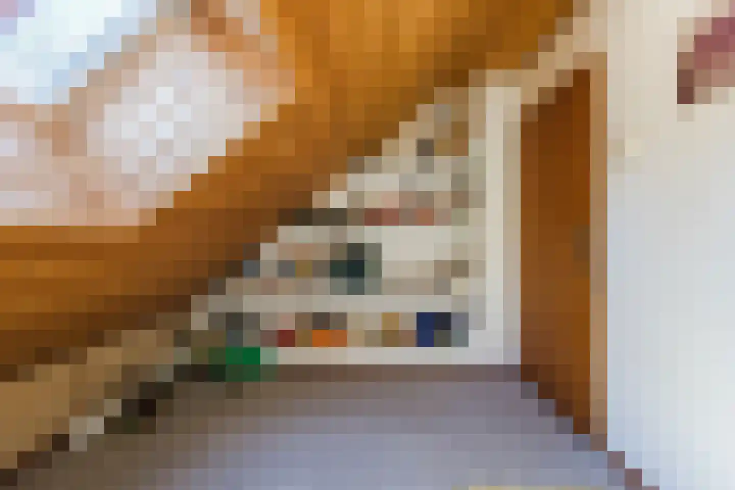 Frederik van Eedenstraat 5 Zegge thumbnail 63