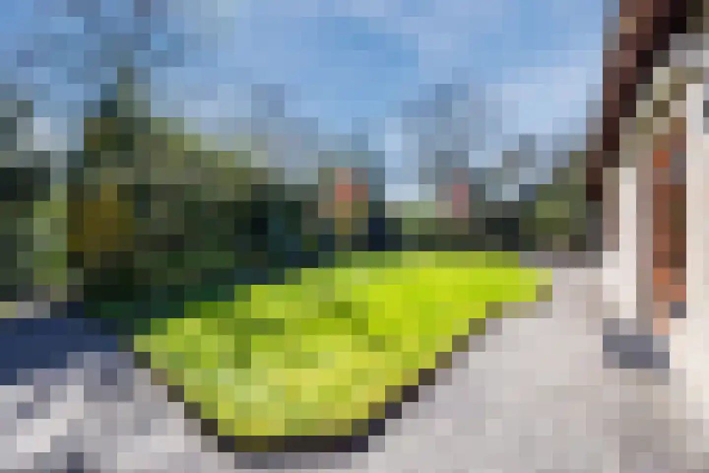 Frederik van Eedenstraat 5 Zegge thumbnail 65