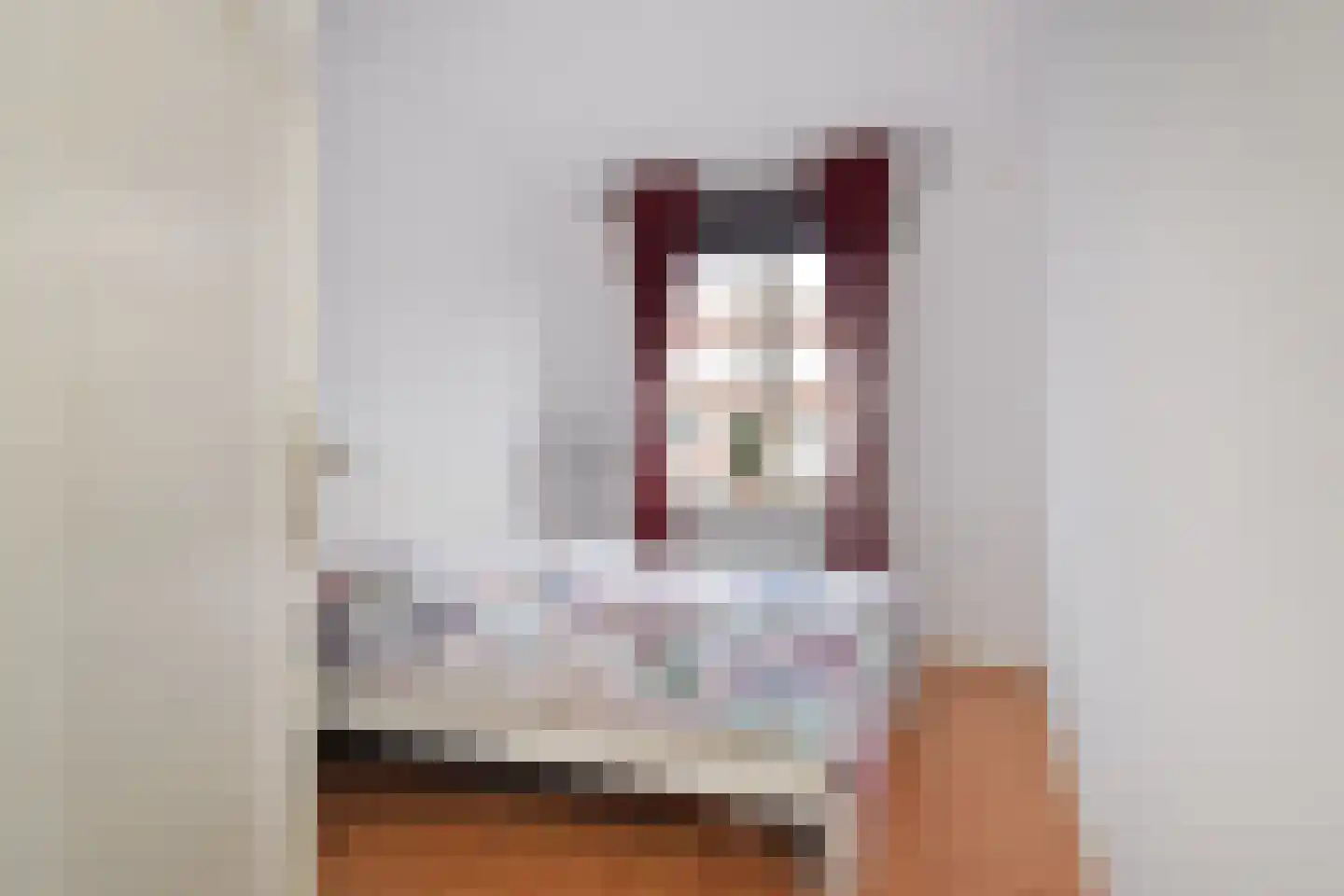 Frederik van Eedenstraat 51 Voorburg thumbnail 23