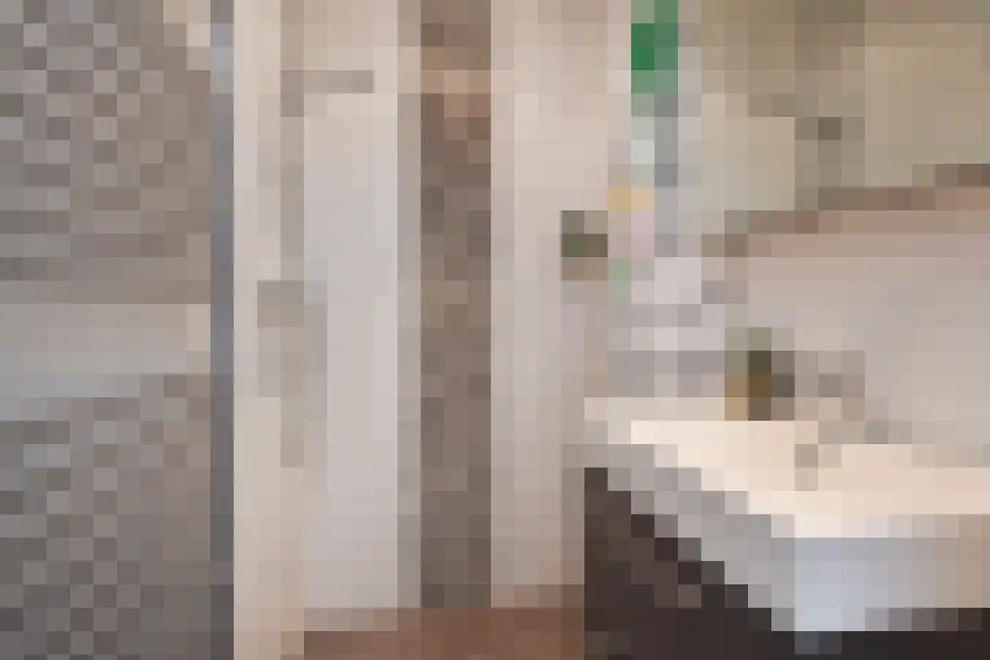 Frederik van Eedenstraat 51 Voorburg thumbnail 25