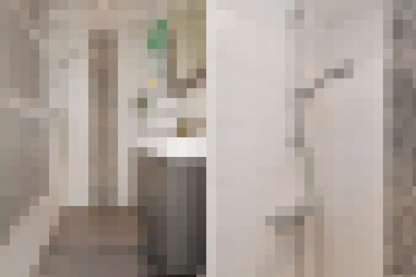 Frederik van Eedenstraat 51 Voorburg thumbnail 26