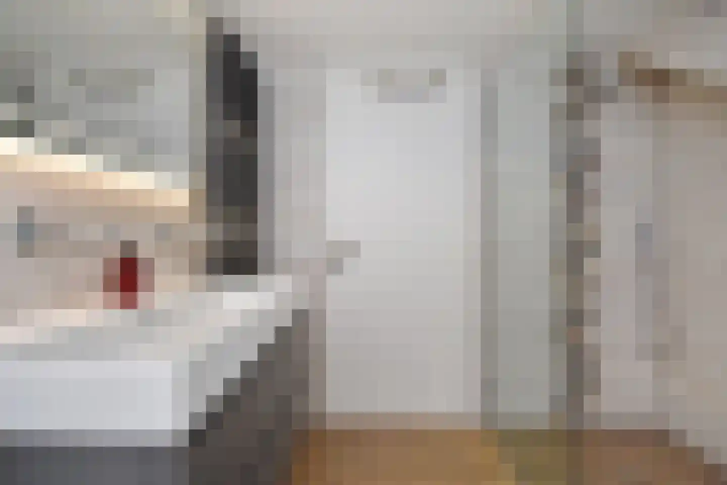 Frederik van Eedenstraat 51 Voorburg thumbnail 39