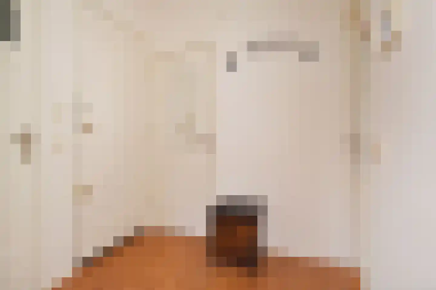 Frederik van Eedenstraat 51 Voorburg thumbnail 47