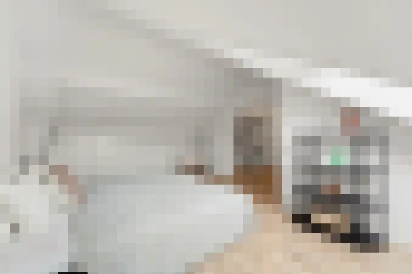 Frederik van Eedenstraat 53 Voorburg thumbnail 27