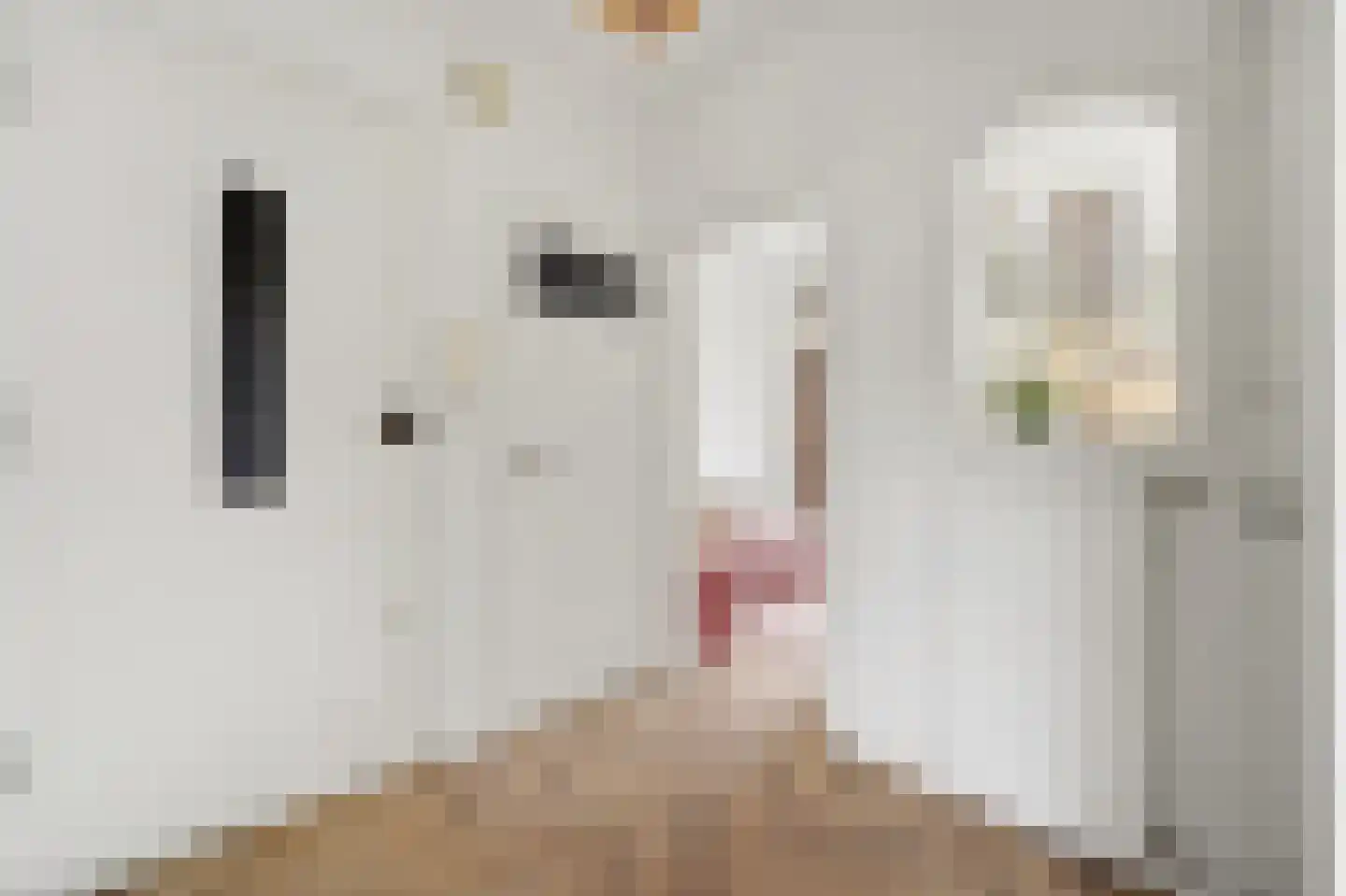 Frederik van Eedenstraat 53 Voorburg thumbnail 8