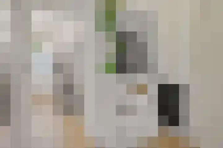 Frederik van Eedenstraat 56 Voorburg thumbnail 18