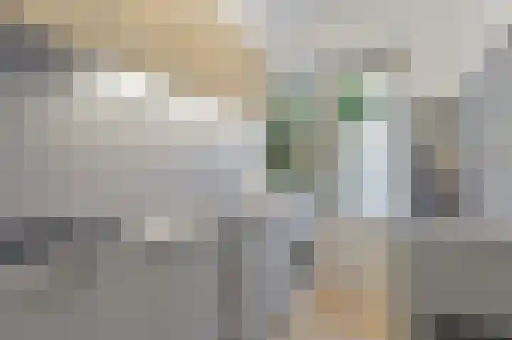 Frederik van Eedenstraat 56 Voorburg thumbnail 19