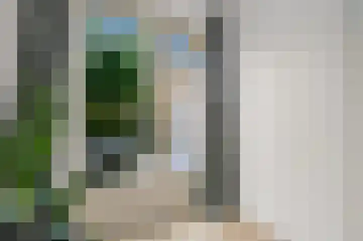 Frederik van Eedenstraat 56 Voorburg thumbnail 29