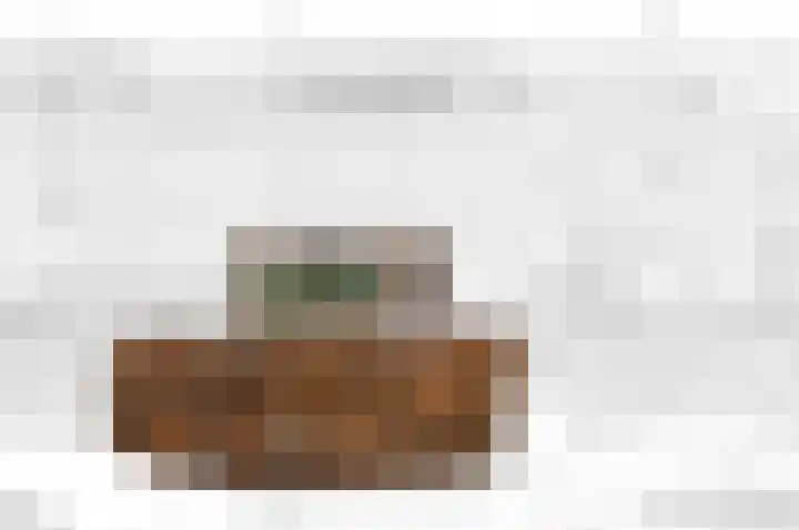 Frederik van Eedenstraat 56 Voorburg thumbnail 6