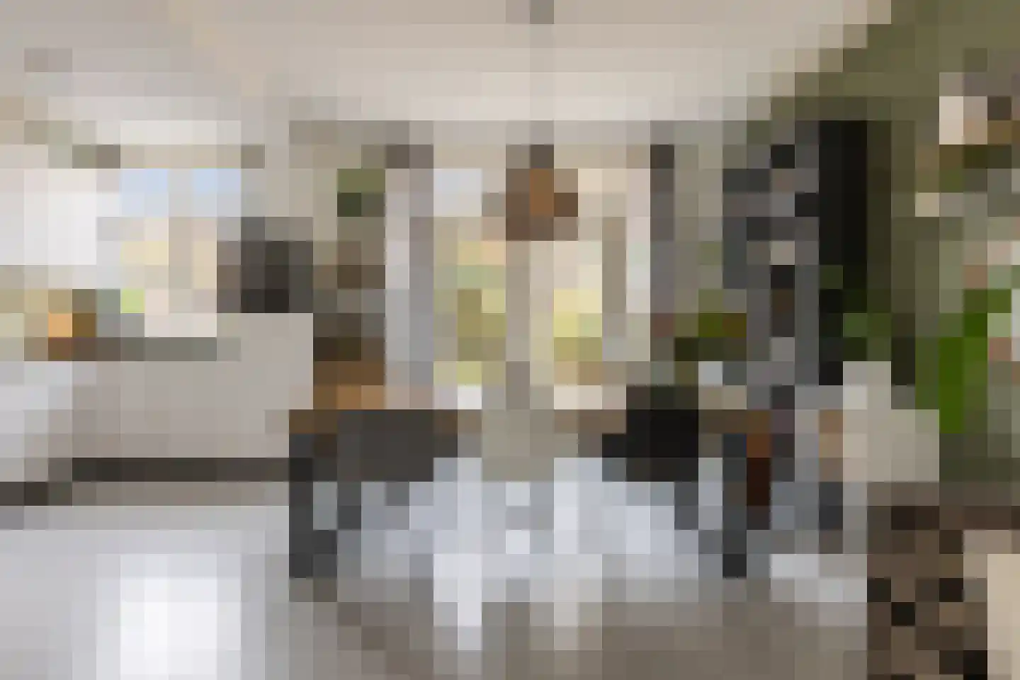 Frederik van Eedenstraat 61 Arnhem thumbnail 13