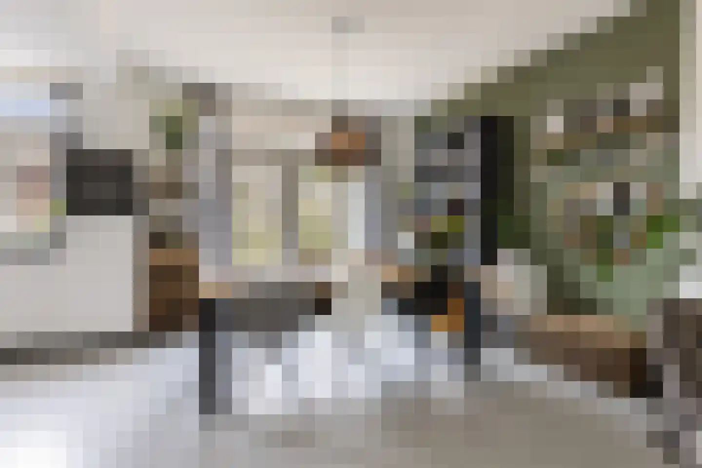 Frederik van Eedenstraat 61 Arnhem thumbnail 15