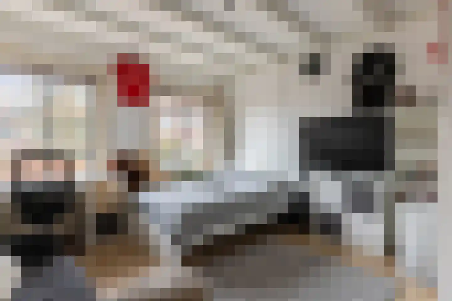 Frederik van Eedenstraat 61 Arnhem thumbnail 20