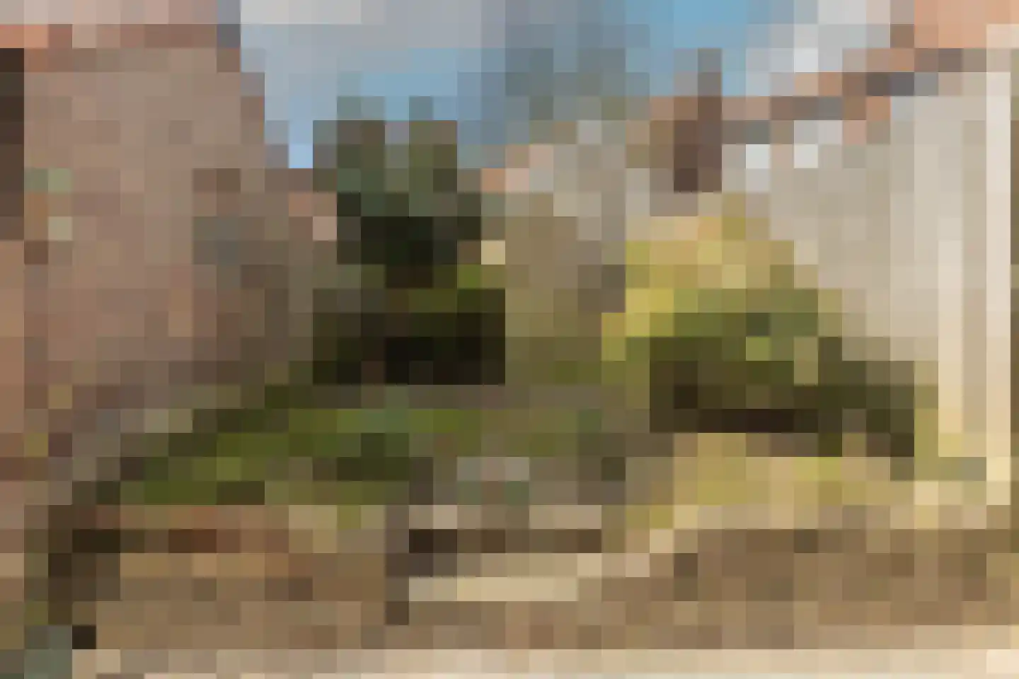 Frederik van Eedenstraat 61 Arnhem thumbnail 31