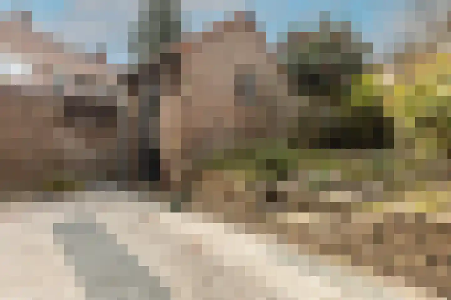 Frederik van Eedenstraat 61 Arnhem thumbnail 32